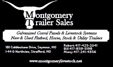 Montgomery Trailer Sales LLC